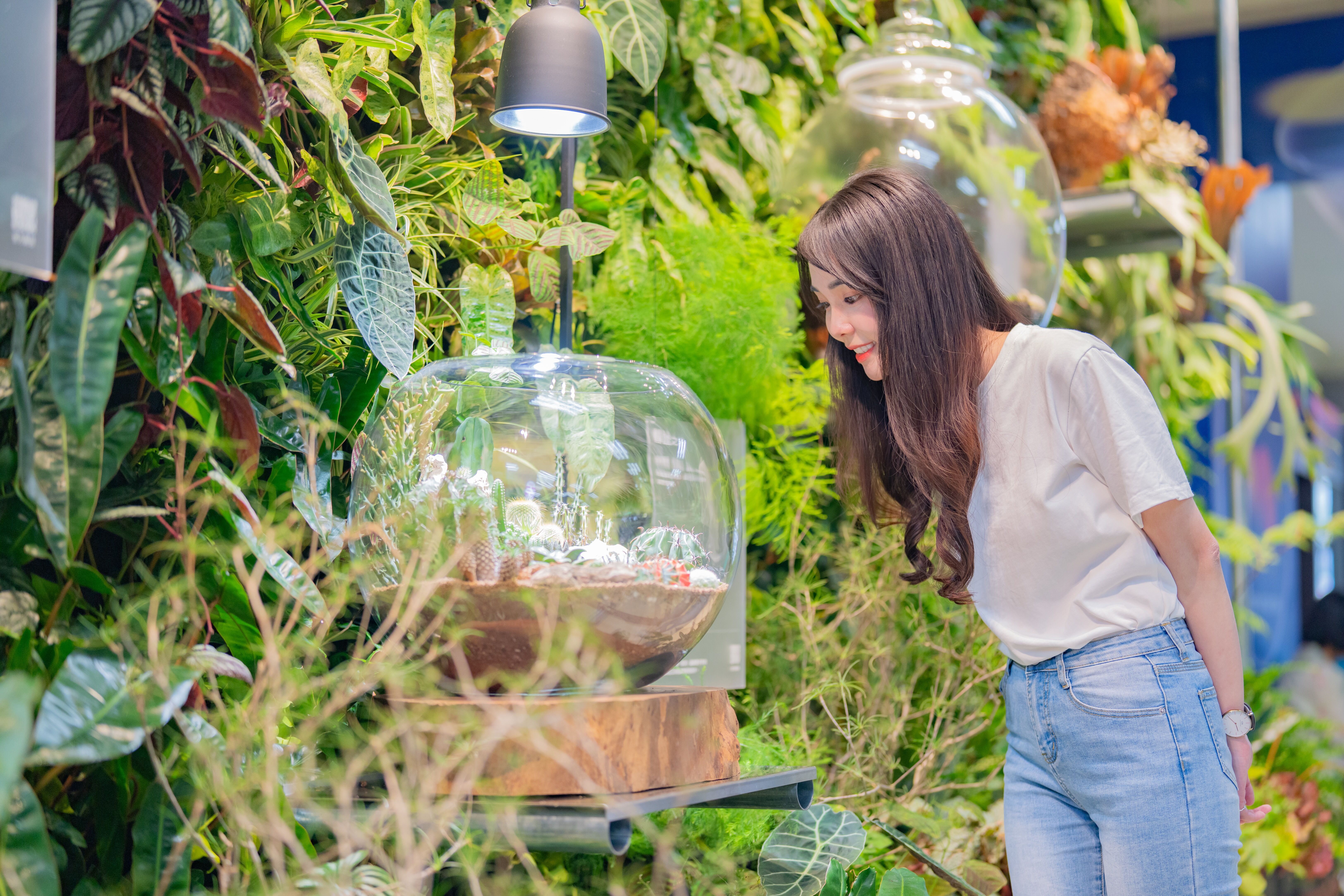 ▲▼大溪豆干節,桃園,植感。（圖／桃園市政府）