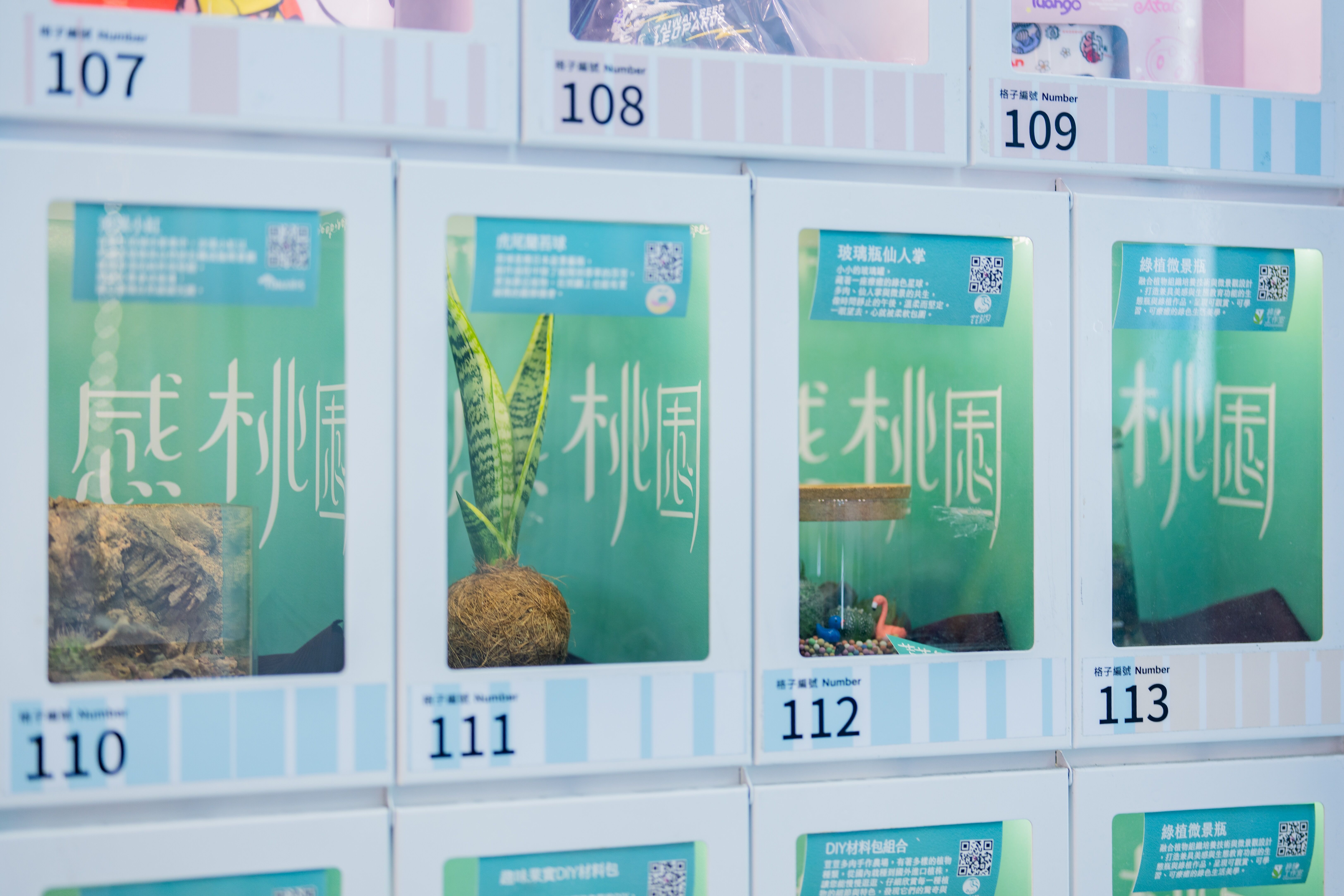 ▲▼大溪豆干節,桃園,植感。（圖／桃園市政府）