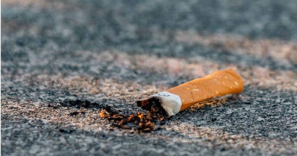 民眾檢舉菸蒂可以有獎金。（示意圖／Pixabay）
