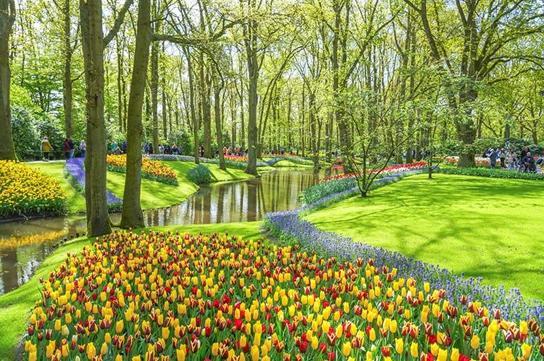 預約2026寰宇河輪！帶你慢遊歐洲，體驗流動的藝術館（圖／鳳凰旅遊提供）