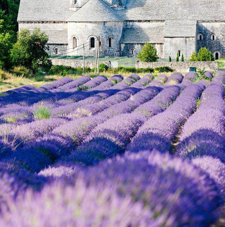 預約2026寰宇河輪！帶你慢遊歐洲，體驗流動的藝術館（圖／鳳凰旅遊提供）