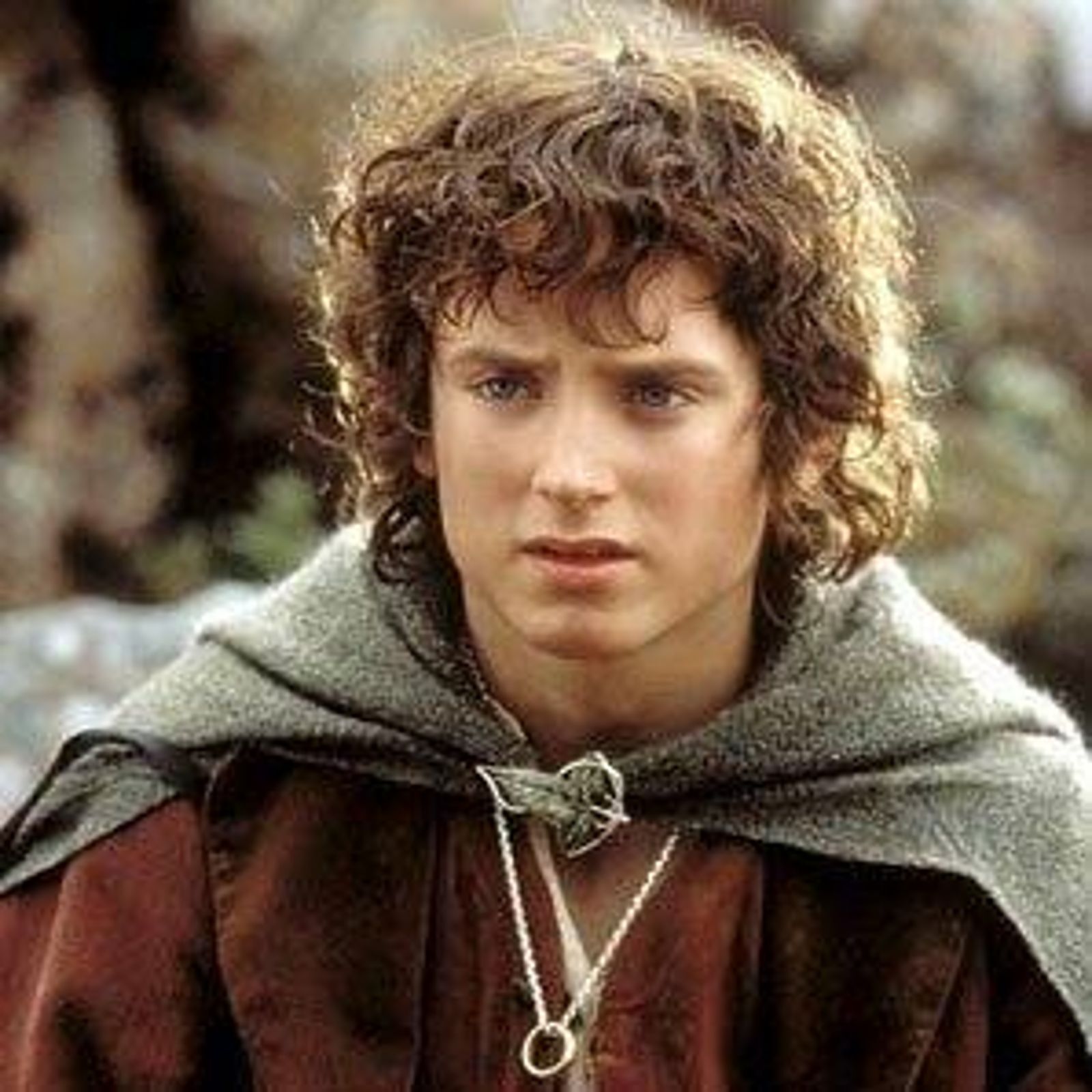 新人在《魔戒》哈比人村結婚　「佛羅多」本尊驚喜現身！場面太夢幻