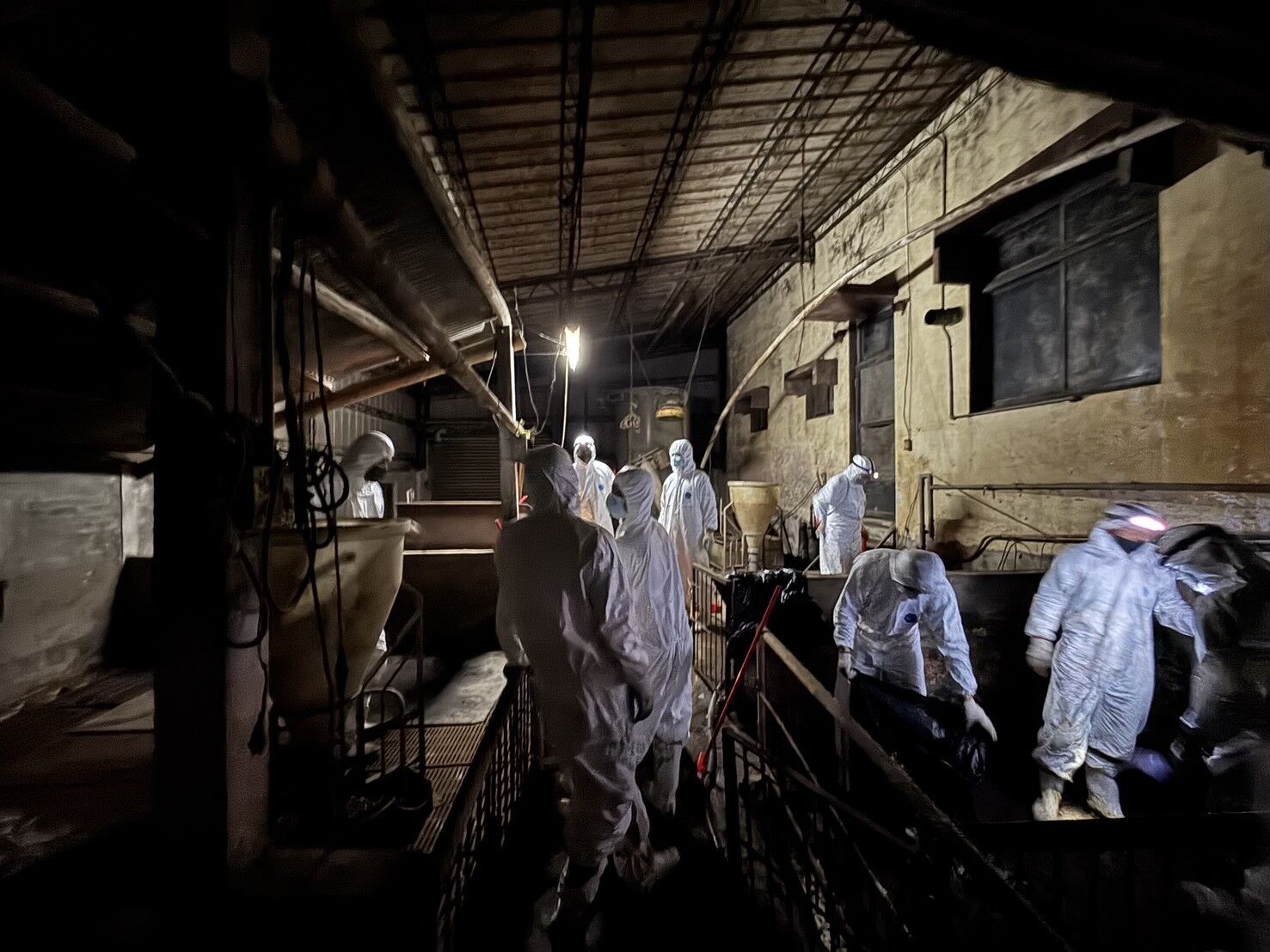 ▲▼台中非洲豬瘟案例場環境仍有病毒，國防部化學兵支援清消工作。（圖／農業部提供）