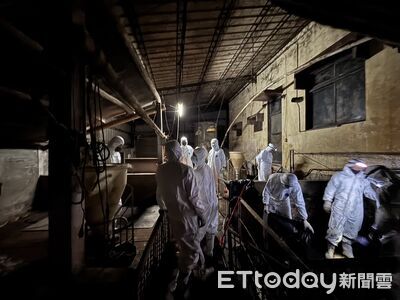 快訊／豬瘟疫情鎖在台中！全台高風險場所皆陰性　案主家檢測出爐