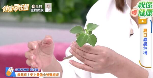 ▲▼             。（圖／）