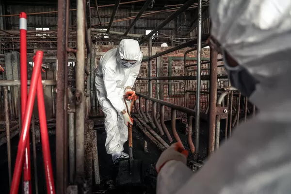 ▲▼陸軍第十軍團派遣兵力協助中部豬瘟案例場清消，落實防疫工作守護畜產安全。（圖／國防部提供）