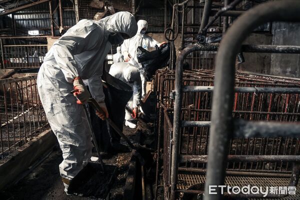 ▲▼             。（圖／十軍團提供）