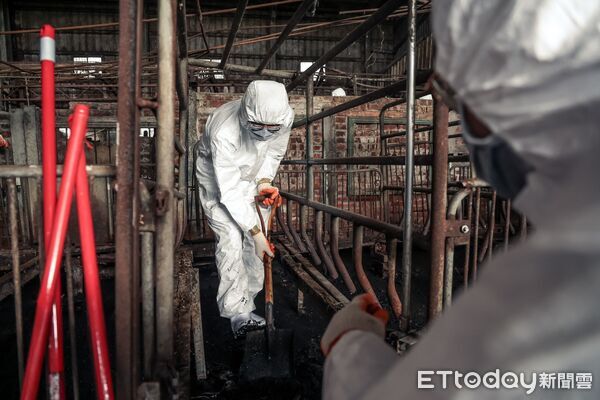 ▲▼             。（圖／十軍團提供）