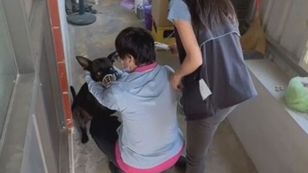 ▲嘉義縣家畜疾病防治所今日已前往現場，針對涉事犬隻進行檢疫。（圖／民眾提供）