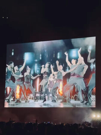 ▲▲▼ BLACKPINK泰國開唱「鞋子竟穿台灣品牌」　Lisa、Jennie同款賣爆。（圖／翻攝自Lisa、Jennie IG）