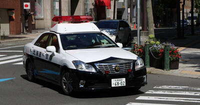 差11歲姐弟戀！32歲日女說「想一起死」　刺死尼泊爾小男友