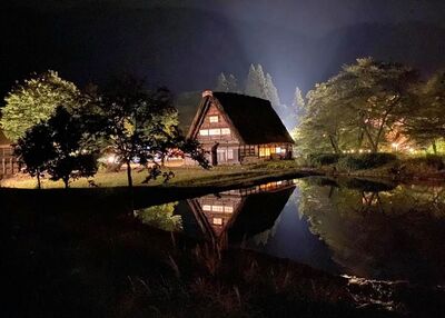 日本岐阜熊狂出沒連襲4人！　白川村合掌村附近「楓葉點燈」取消