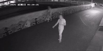 肇逃畫面曝！瑪莎拉蒂連撞4車女騎士噴飛　駕駛滑手機走巷子閃人