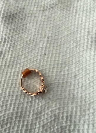 狗把鑽戒吃了。（圖／翻攝自Tiktok@dogtorjulie）