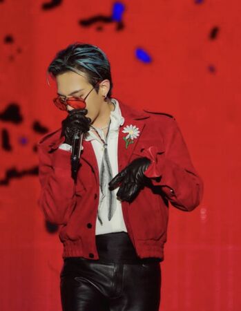 ▲▼ 直擊／王者踏上大巨蛋！GD皇冠加冕　男粉激動吼⋯他笑出來：男孩冷靜。（圖／翻攝自GD IG）