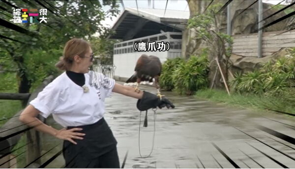 ▲短今挑戰「鐵頭功」整張桌子被撞翻。（圖／綜藝玩很大）