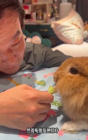 ▲桃園動保處「毛起來拍 &times; 短影音培力坊」成果亮眼