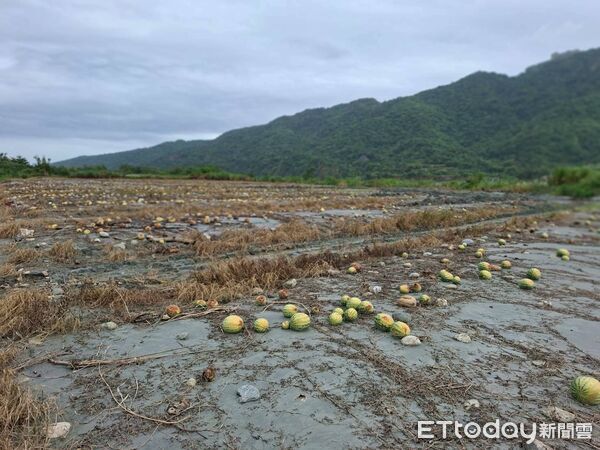 ▲▼花蓮縣府農業處再次會同相關單位前往現地勘查。（圖／花蓮縣政府提供，下同）