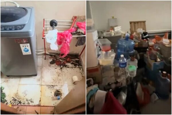 ▲▼             。（圖／翻攝自TikTok）