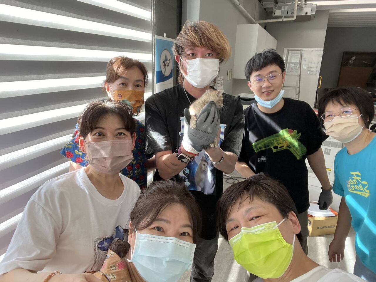 八里小貓誤入工廠夾層受困　新北動保處破牆救援成功