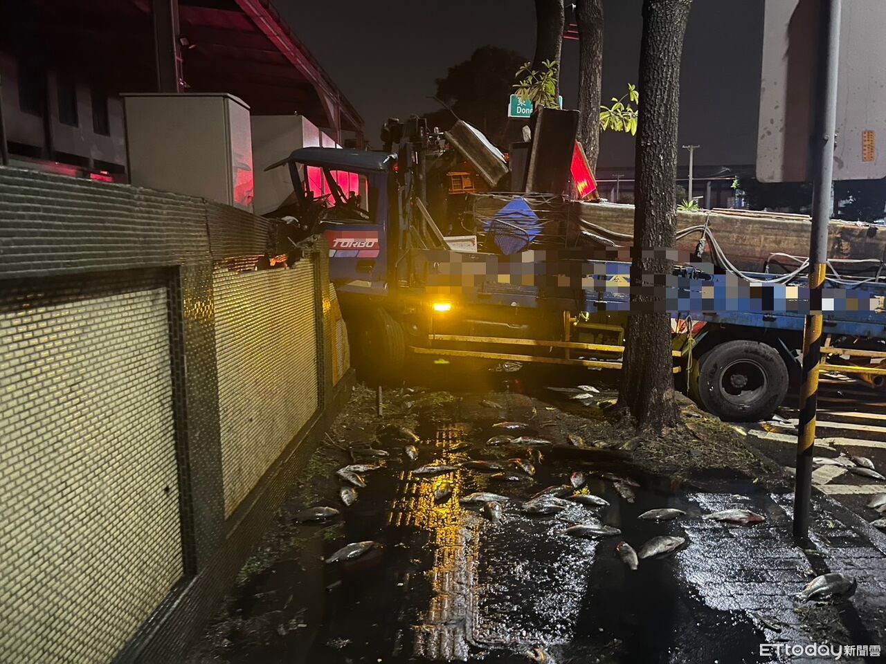 駕駛「眼前一黑」猛撞圍牆!活鱸魚噴落滿地慘死 20萬飛了