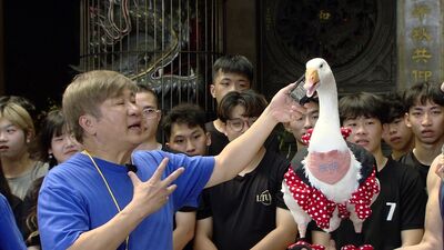 錄影現場遭「鵝」闖入！　胡瓜問「你最喜歡誰？」鵝竟回答了