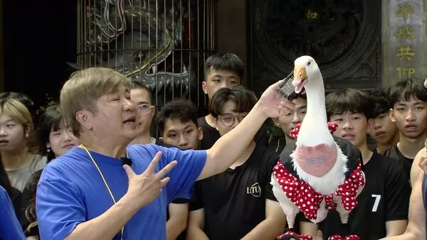 ▲胡瓜跟鵝對話。（圖／民視提供）