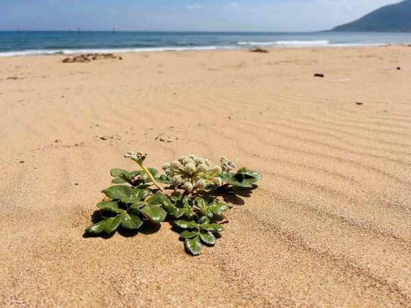▲新北貢寮田寮洋生態旅行。（圖／新北市農業局提供）