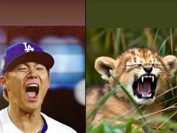 ▲▼大谷翔平曾經在IG上幽默吐槽山本由伸。（圖／翻攝自Instagram／shoheiohtani）