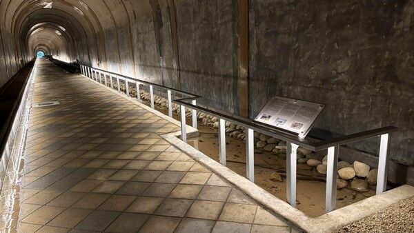 ▲桃園舊百吉隧道結合生態保育即起開放