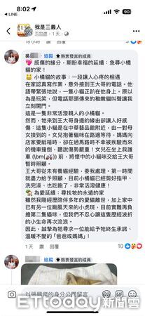 ▲苗栗縣三義水美街發生死亡事故，撿流浪貓的老婦人違規闖紅燈時遭2部機車碰撞，老婦送醫不治、浪貓無事。（圖／記者楊永盛翻攝）