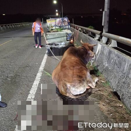 ▲埔里警方查處虐牛案，依法蒐證並舉發違規。（圖／記者高堂堯翻攝）