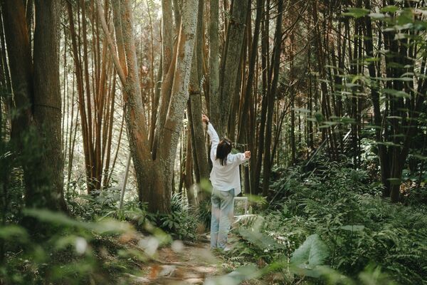 ▲▼薰衣草森林集團。（圖／薰衣草森林集團提供）