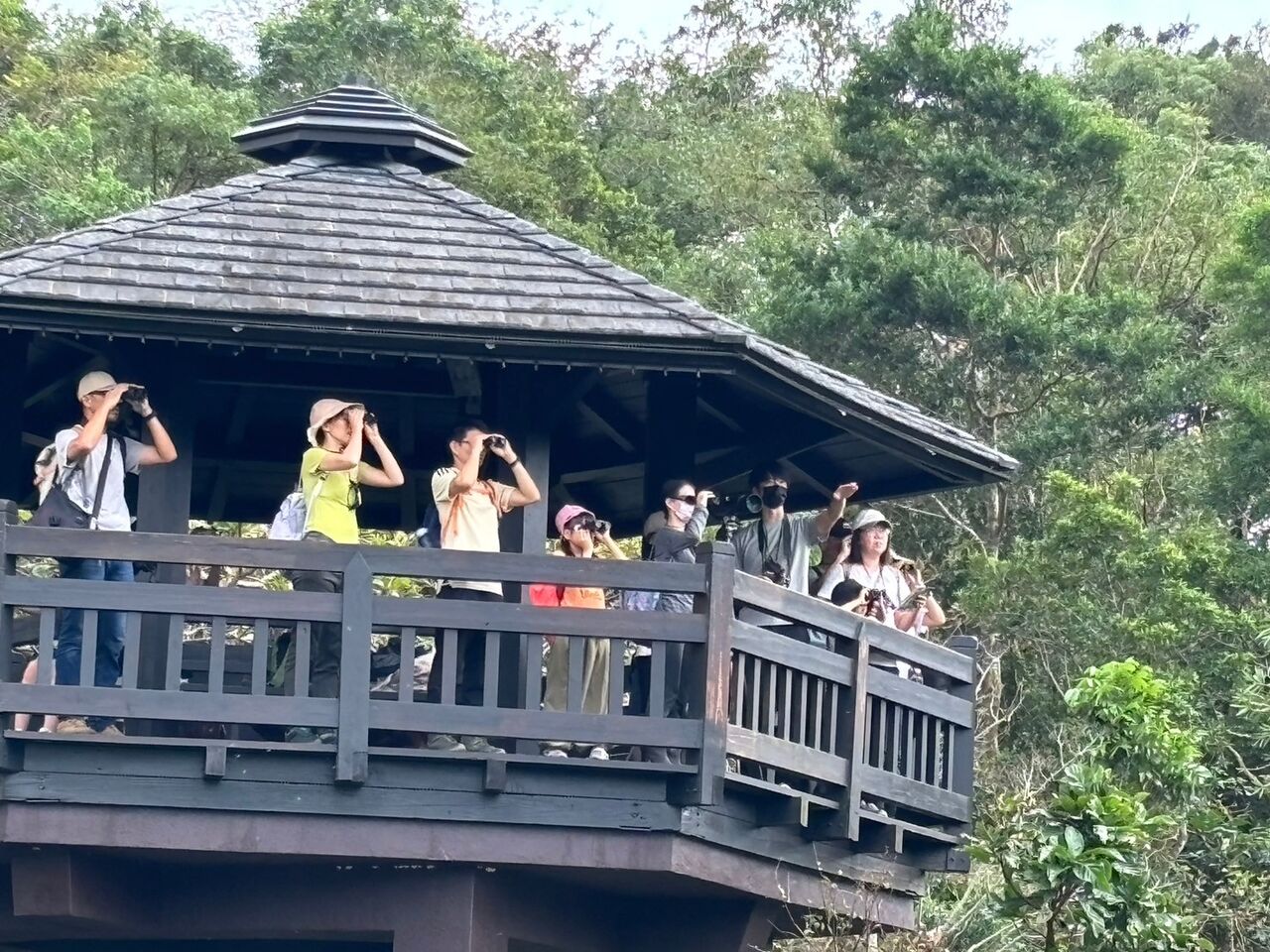 走進候鳥與沙灘植物祕境　田寮洋小旅行開始報名