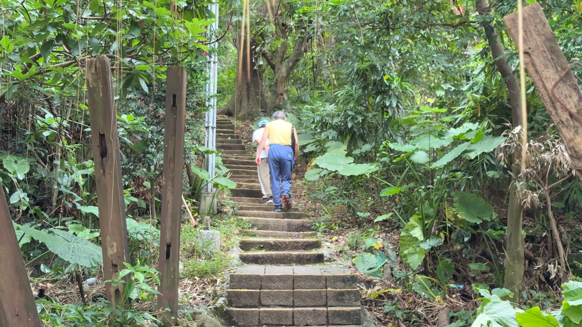 ▲▼中和,登山步道,南勢角岭步道,中興公園。（圖／記者姜國輝攝）