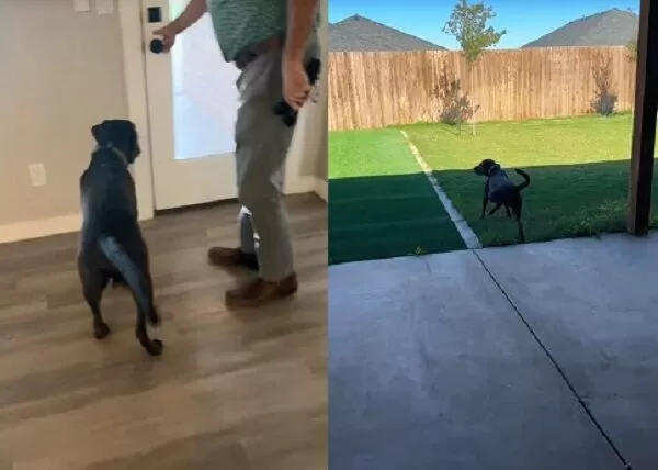 ▲。（圖／翻攝自TikTok／@calamity.janie）