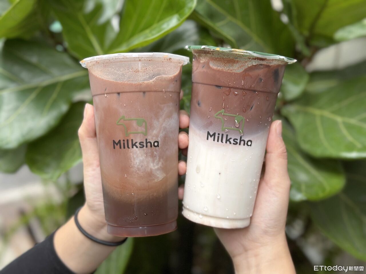 迷客夏「超頂1口味」回歸　加珍珠上癮！一票人推：更懷念50嵐