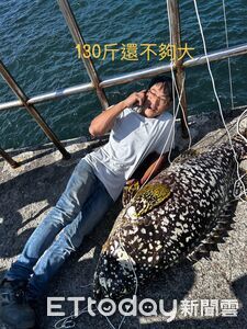 台南釣客捕獲「史詩級」130斤野生龍膽石斑　3mins拉上岸全場驚呆