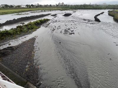 羅東溪歪仔歪橋下驚見女浮屍!家屬昨通報失蹤...今悲痛認屍