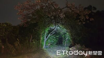 基隆17歲女高中生跌落山坡！「遭樹重壓」受傷　警消搜救1hr助脫困