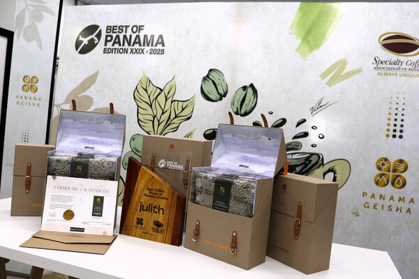 ▲▼ Julith咖啡館以60萬美元的價格購買20公斤咖啡豆。（圖／VCG）