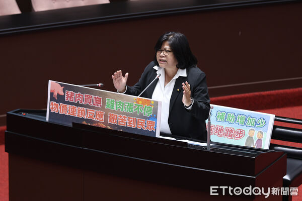 ▲立委王美惠質詢。（圖／記者林敬旻攝）