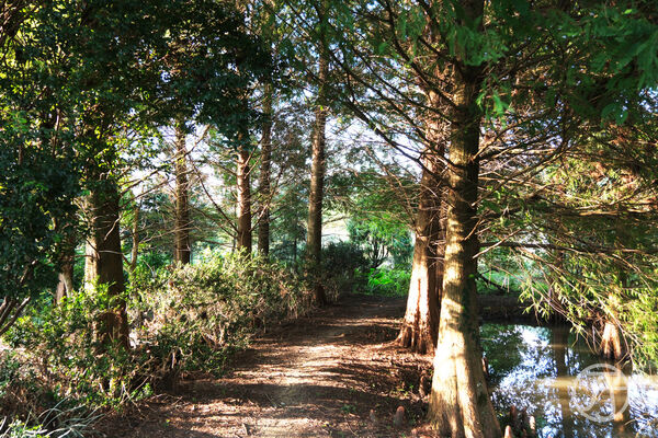 ▲▼慎重開華莊園民宿。（圖／部落客JJ.Hsu授權提供）