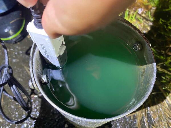 ▲▼宜蘭三星鄉一處農田被染綠色，涉案某農莊，將被罰3萬元至300萬元。（圖／宜縣環保局提供，下同）