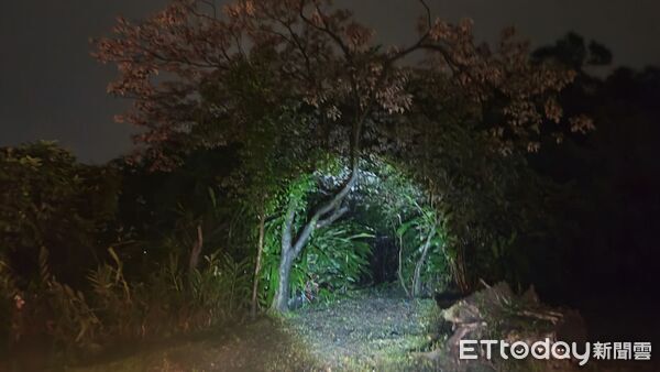 ▲女學生意外跌落山坡，被倒塌樹木壓住動彈不得，所幸成功獲救無生命危險。（圖／記者郭世賢翻攝）