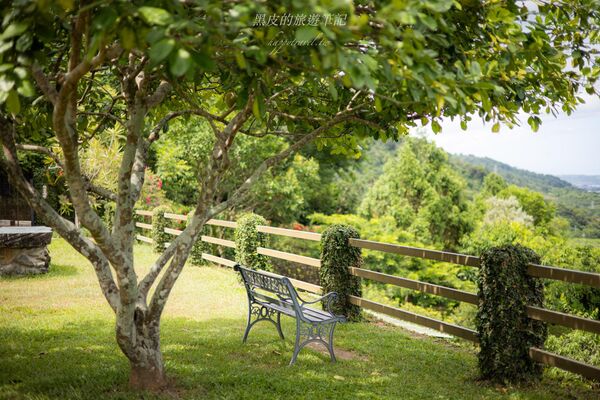 ▲▼林道咖啡。（圖／部落客黑皮的旅遊筆記授權提供）