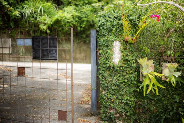 ▲▼林道咖啡。（圖／部落客黑皮的旅遊筆記授權提供）