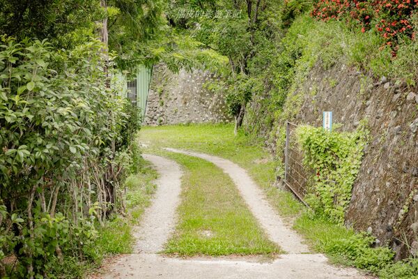 ▲▼林道咖啡。（圖／部落客黑皮的旅遊筆記授權提供）