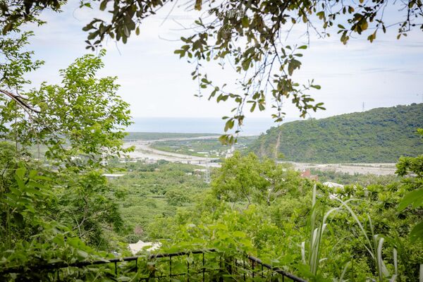 ▲▼林道咖啡。（圖／部落客黑皮的旅遊筆記授權提供）