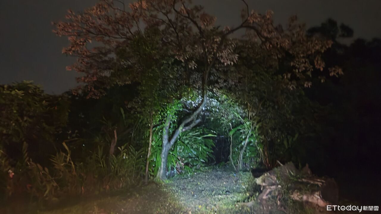 基隆17歲女高中生跌落山坡！「遭樹重壓」受傷　警消搜救1hr助脫困